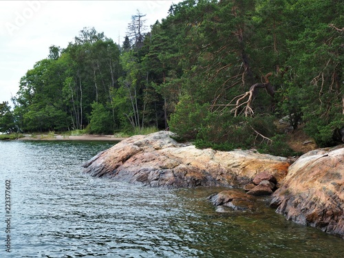 Rocks and trees on the coast of Grinda island in the Stockholm Archipelago, Sweden