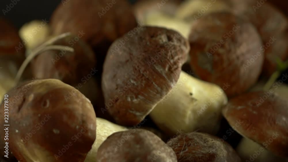 Forest mushrooms. Cepes. Natural product. Delicacy Rotation. Slow-motion shot. Forest mushrooms. Cepes. Natural product. Delicacy Rotation. Slow-motion shot.
