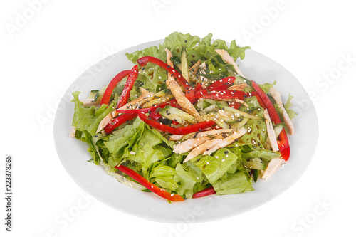 Salad with Bulgarian pepper, meat, ham, chicken, cucumber, lettuce, dill, tomato, zucchini, black sesame on plate, white isolated background Side view. For the menu restaurant bar cafe
