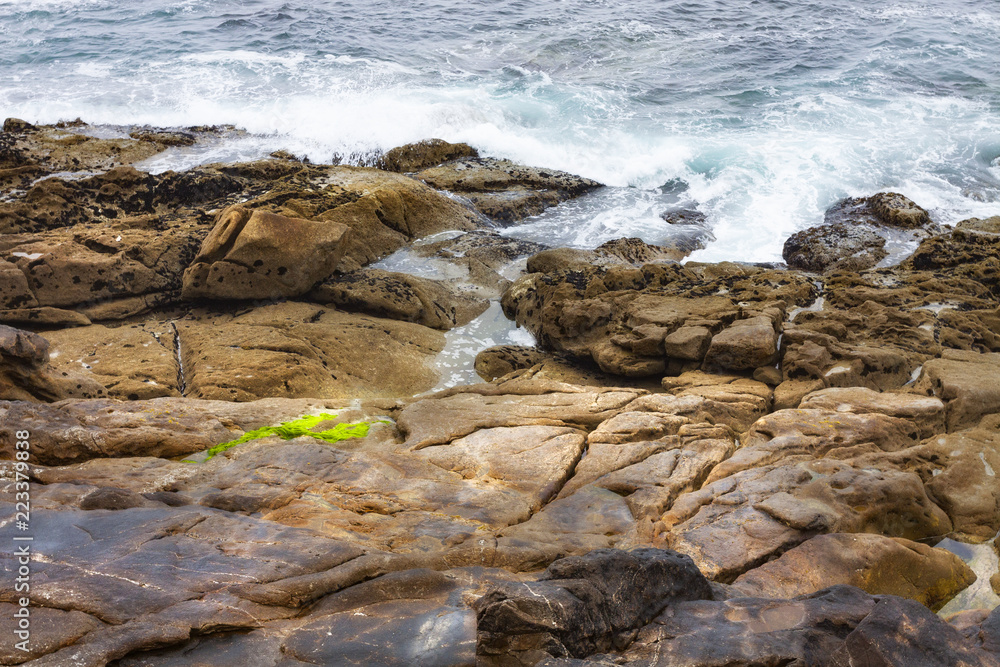 Fototapeta premium ORILLA ROCOSA