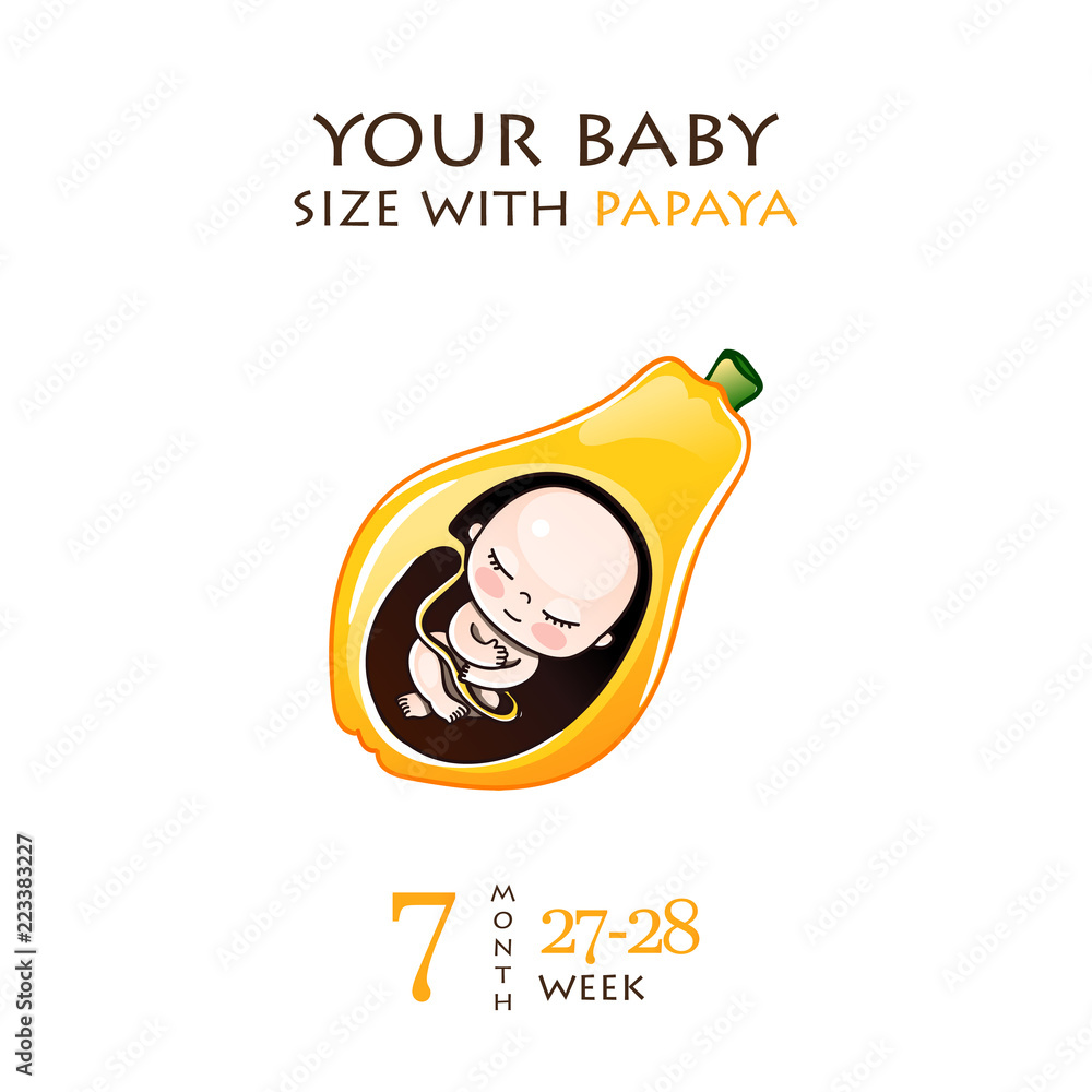 Stages of development of pregnancy the size of the embryo for weeks 