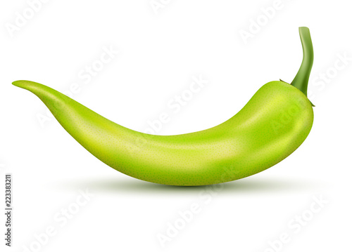 Fresh green hot chili pepper. Kitchen organic vector spicy taste chili mexican pepper