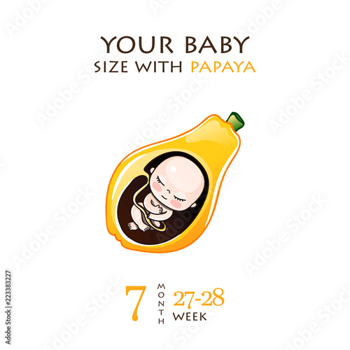 Stages of development of pregnancy, the size of the embryo for weeks. Human fetus inside the womb 1 to 9 months.Vector illustrations
