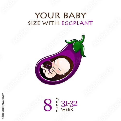 Stages of development of pregnancy, the size of the embryo for weeks. Human fetus inside the womb 1 to 9 months.Vector illustrations