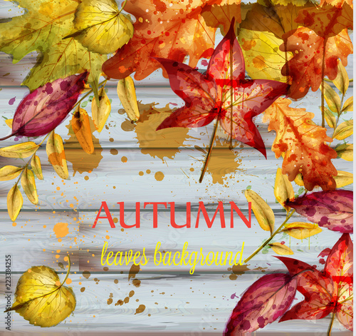 Autumn leaves watercolor Vector. Wooden decor background. Fall banner templat...