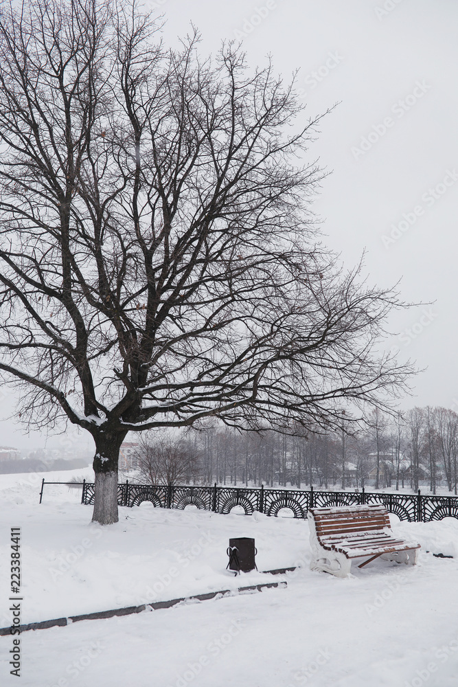 Winter city landscape. Winter park covered with snow. A bench un