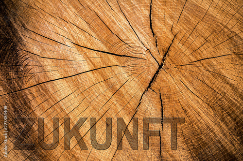 Wort Zukunft auf Baumscheibe