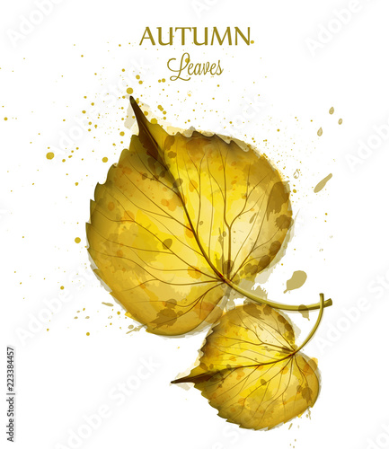 Autumn watercolor leaves Vector isolated on white background. Fall banner tem...