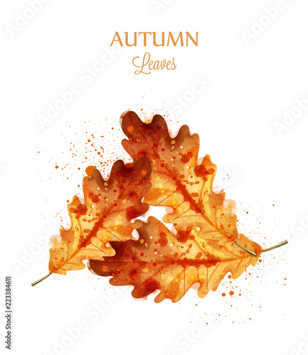 Autumn watercolor leaves Vector isolated on white background. Fall banner template. Red Golden colors