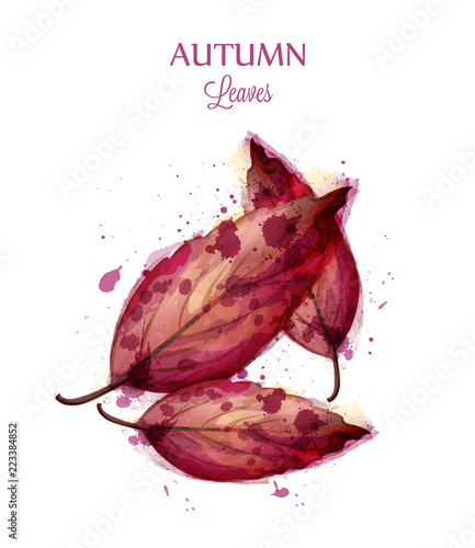 Autumn watercolor leaves Vector isolated on white background. Fall banner tem...