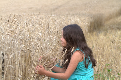 Little brunette girl walking on a wheat field