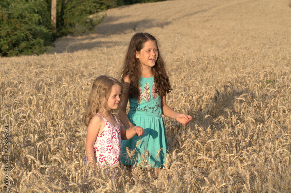 Two little girls sister walking on a wheat field Two little girls sister walking on a wheat field