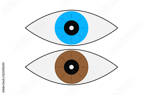 Ojos de color azul y marrón.