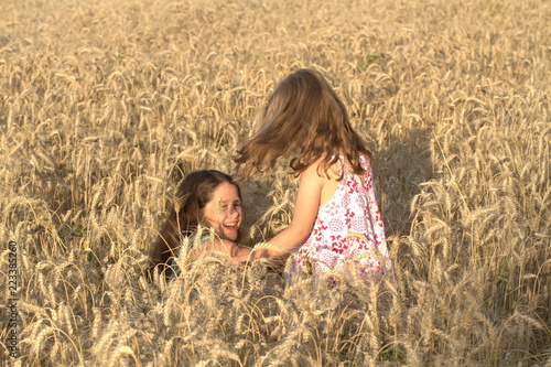 Two little girls sister hugging on a wheat field