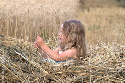 Little blonde girl walking on a wheat field