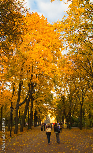Gold autumn in city park, warm peaceful alley and walking people in background © Alevtyna