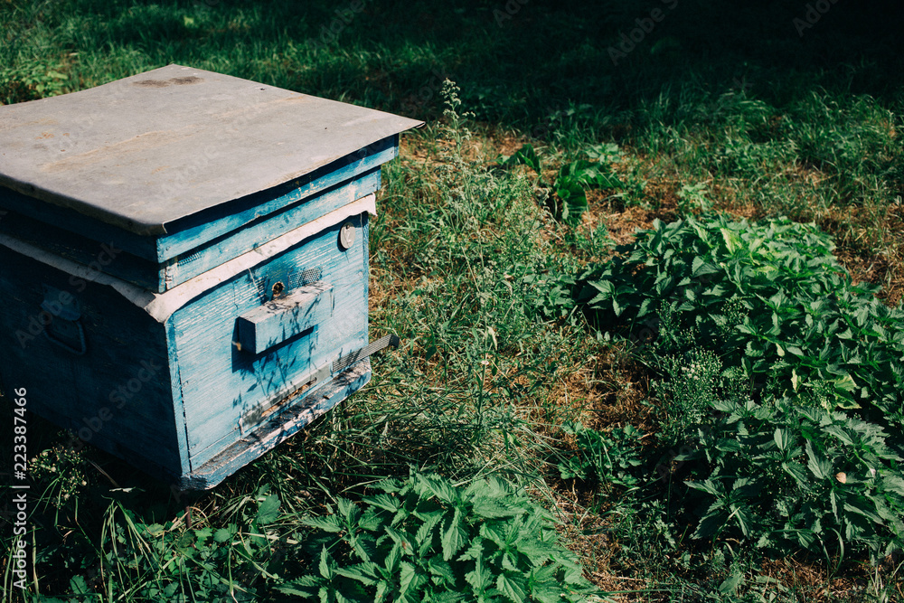 an old Hives of bees in the apiary an old Hives of bees in the apiary