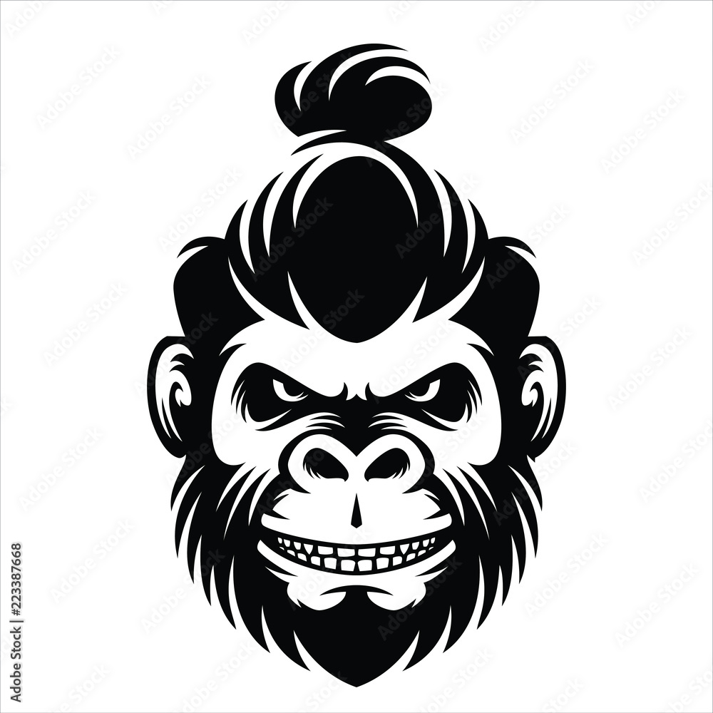 Download wallpaper monkey, hairstyle, zoo free desktop wallpaper in the  resolution 2560x1600 — picture №258047