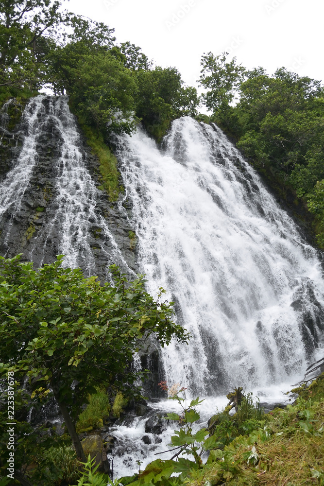 Obraz premium 滝