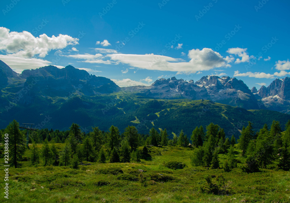Mountain landscape with crests and fir trees