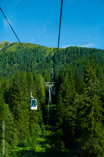 Mountain view with cable car and fir forest