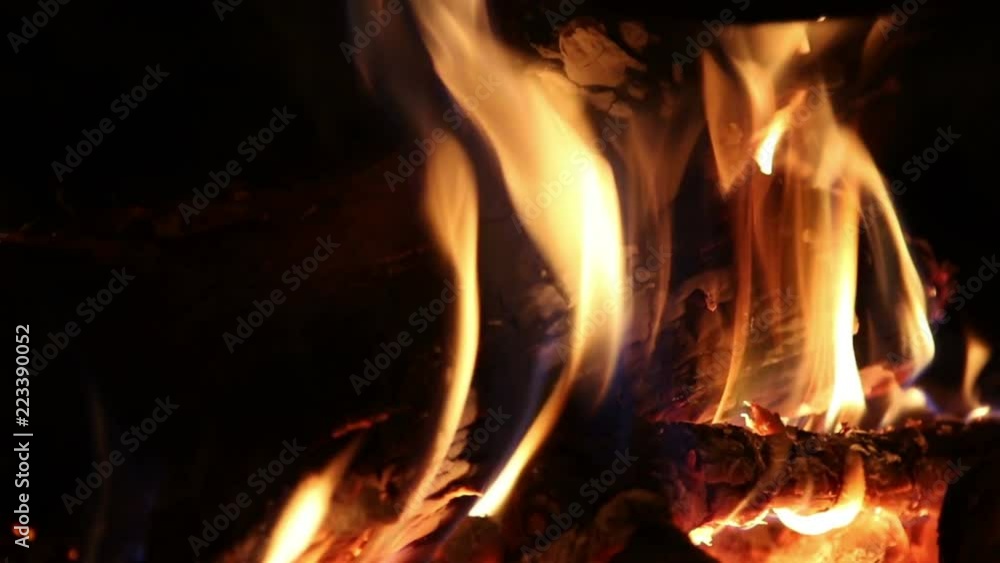 Bonfire at night, close up, nature background
Bonfire at night, close up, nature background