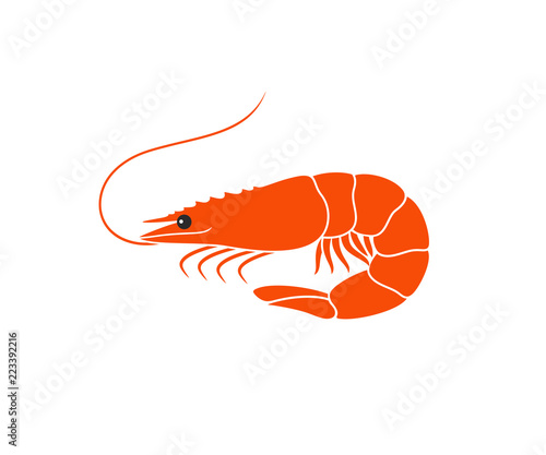 Shrimp logo. Isolated shrimp on white background. Prawns