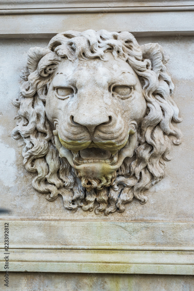 ancient lion relief