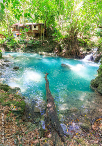 Branch Going In The Water At Kawasan Falls in Cebu, Philippines