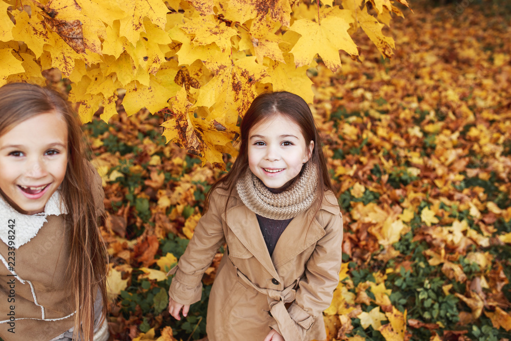 two beautiful happy baby girls having fun in autumn park, among fallen leaves two beautiful happy baby girls having fun in autumn park, among fallen leaves