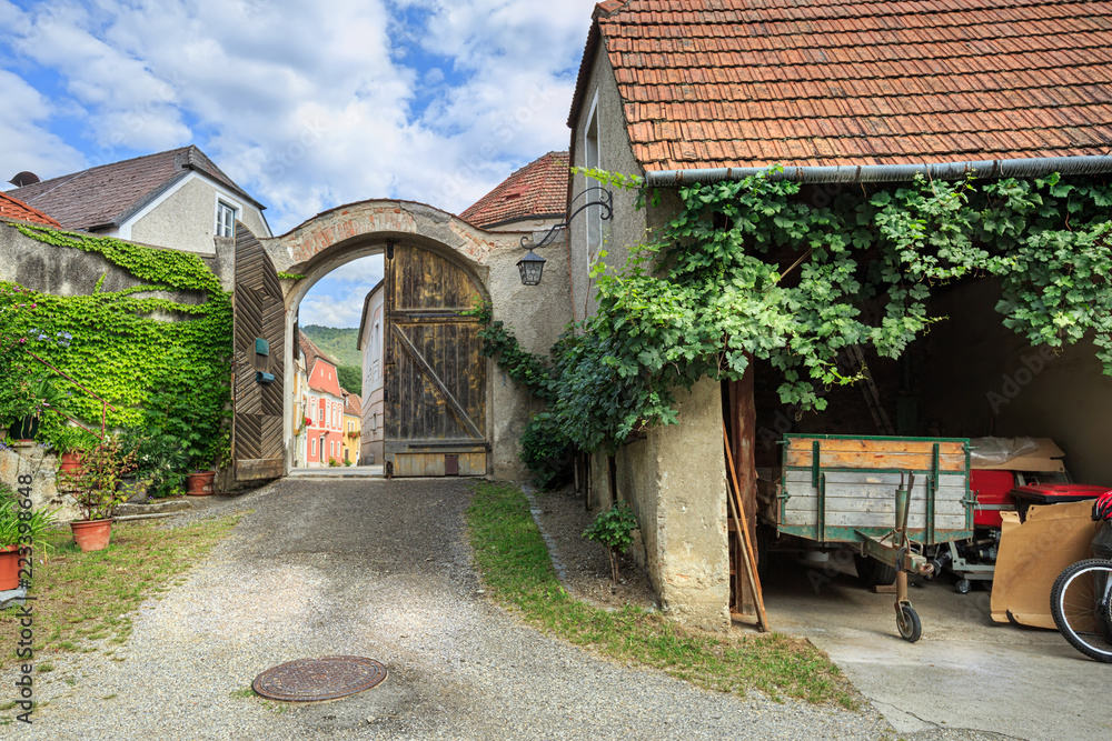 Vine-covered country courtyard. Town of Weissenkirchen in der Wachau, Lower Austria. 