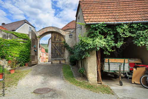 Vine-covered country courtyard. Town of Weissenkirchen in der Wachau  Lower Austria. 