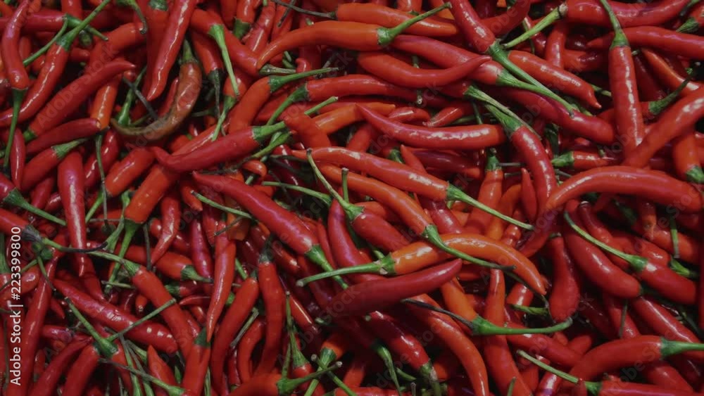 A lot of Red Chili Peppers on Shop Shelf in Supermarket A lot of Red Chili Peppers on Shop Shelf in Supermarket