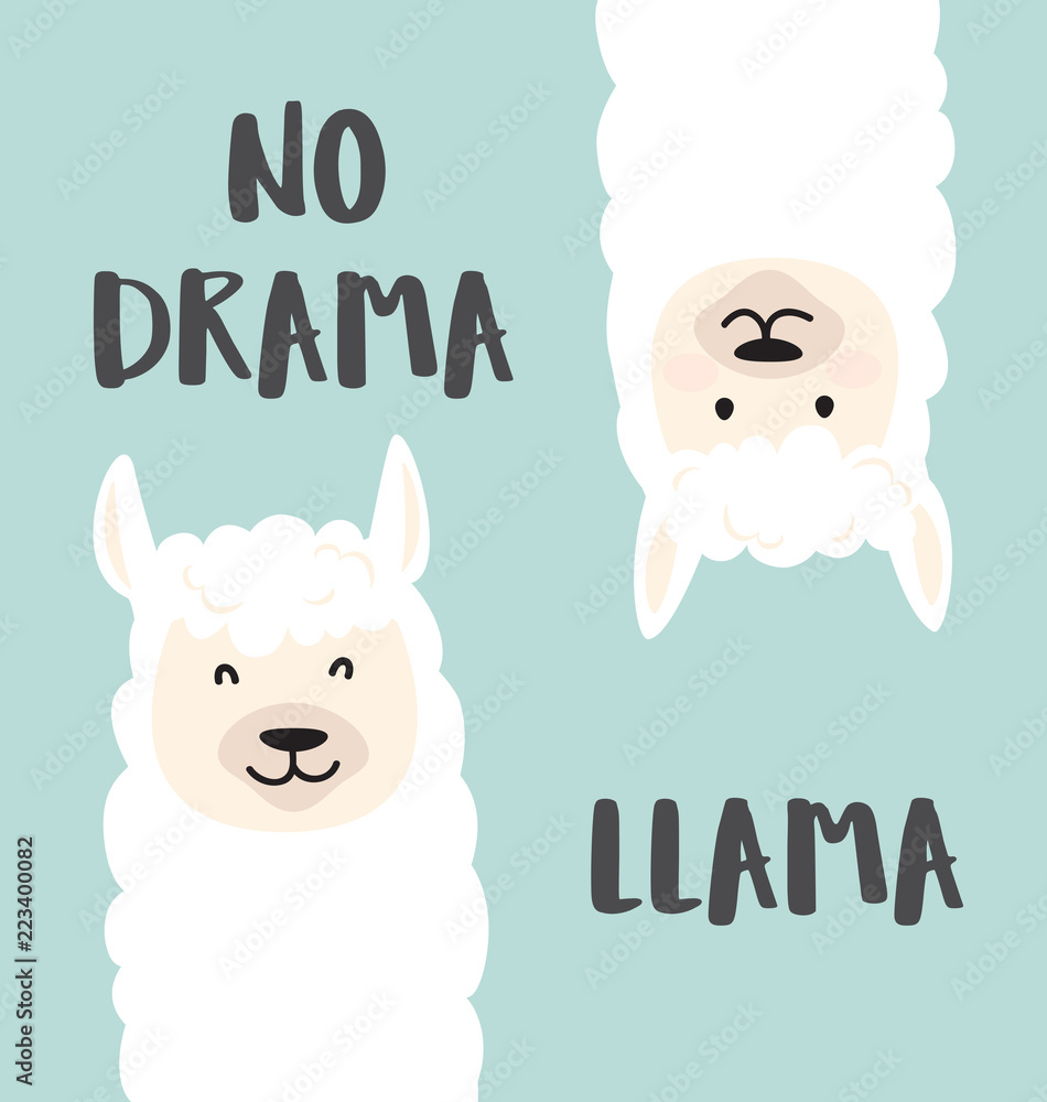 Cute cartoon lama design with No drama llama motivational and inspirational  quote. Hand drawn vector illustration with funny, white llama heads Stock  Vector | Adobe Stock