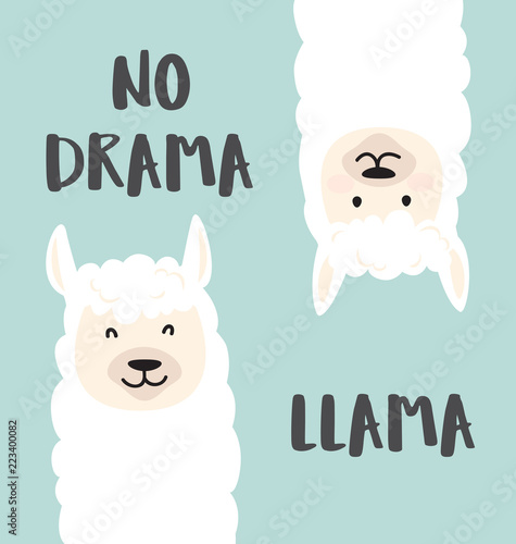 Cute cartoon lama design with No drama llama motivational and inspirational quote. Hand drawn vector illustration with funny, white llama heads