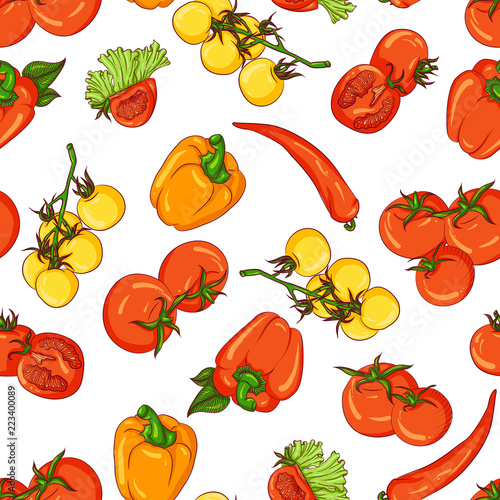 Vector seamless pattern with tomato and paprika. Illustration isolated on white background. Hand drawn pattern