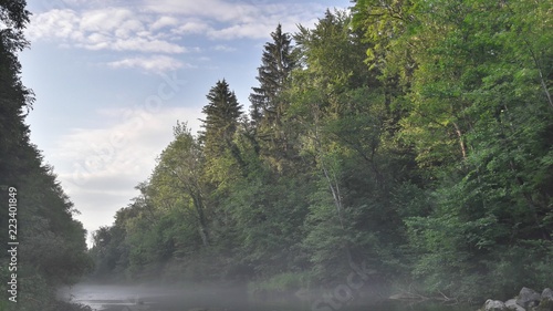 forest river