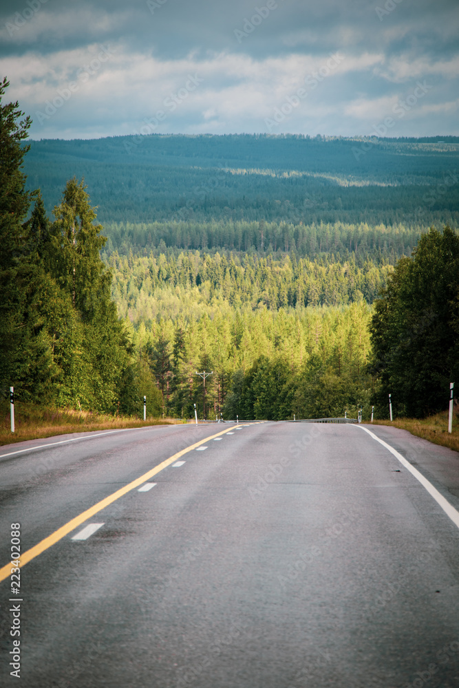 Fototapeta premium Road to Lapland