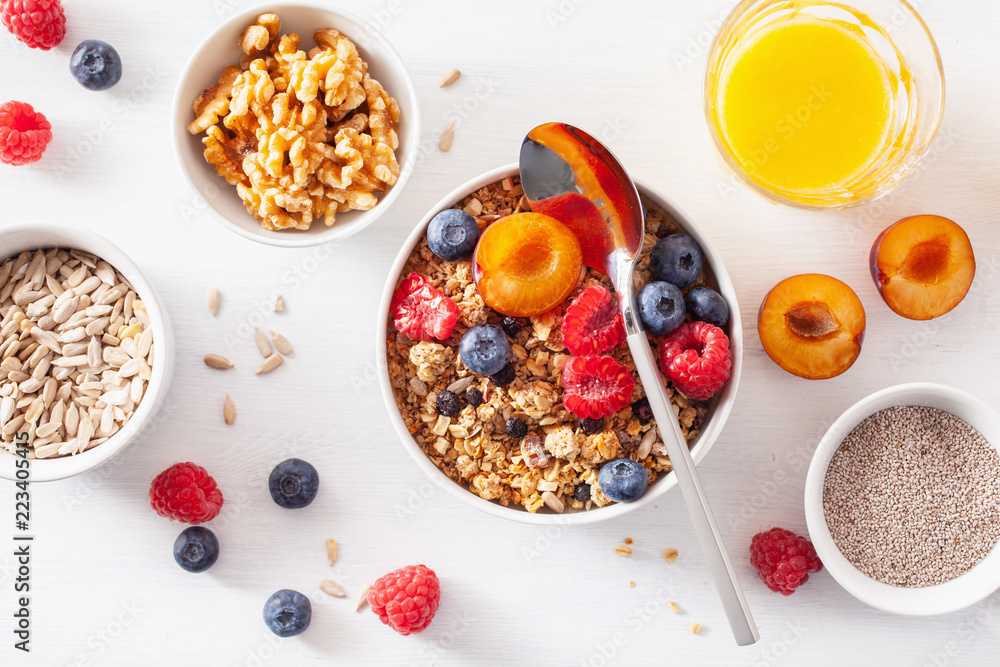 healthy granola for breakfast with berry fruit nut, vegan milk healthy granola for breakfast with berry fruit nut, vegan milk