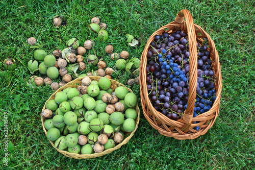 Baskets full of walnuts and grapes standing on green grass
