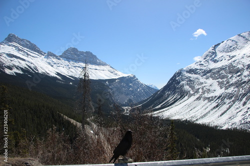 Canadian Rocky Mountain