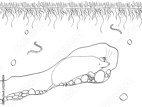 Vector cut section of land with blue sky, grass, underground soil with dirt, mud, stone and gophers in hole. Coloring, black lines, white background.