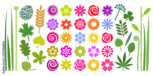 Set of colorful summer flowers  leaves and stems in imple cartoon flat style.
