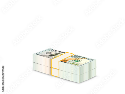 100 Dollars Stack Of Bundles Of 100 Us Dollars 13 Dollar 000 Dollar Dollar Stock Illustration Adobe Stock