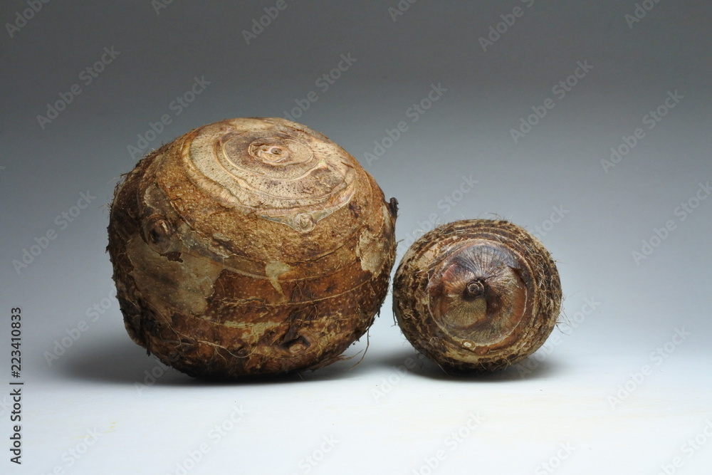 Exotic edible tuber Exotic edible tuber