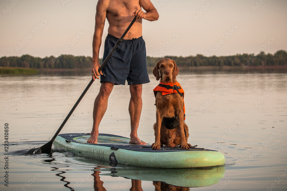 SUP mit Hund Stand up paddeling Stock Photo | Adobe Stock