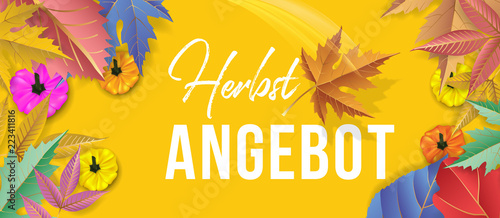 Herbstangebote Banner Hintergrund.