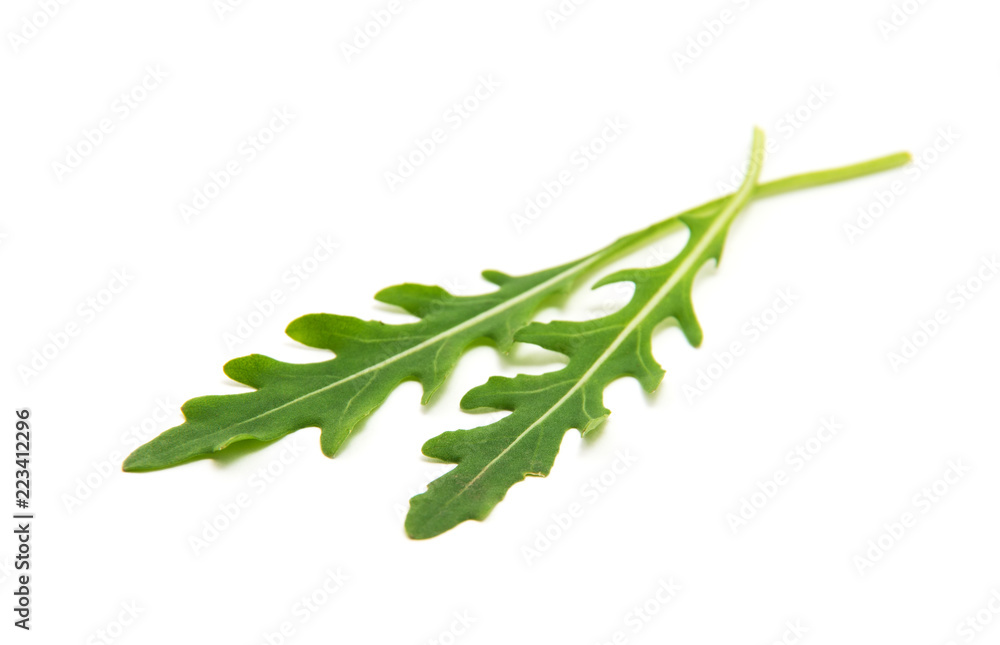 Fototapeta premium Green arugula leaf isolated on white