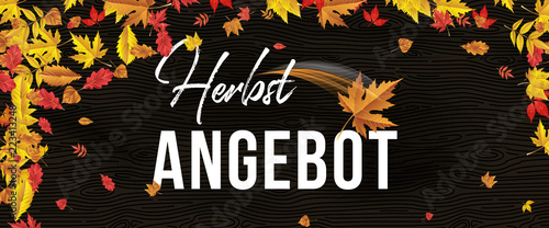 Herbstangebote Banner Hintergrund.