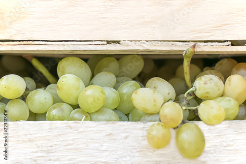 Side view of white grapes in a wooden box.